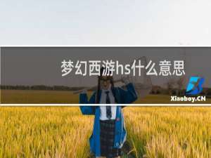 梦幻西游hs什么意思
