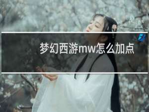 梦幻西游mw怎么加点