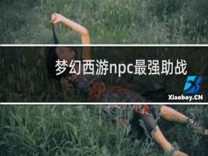 梦幻西游npc最强助战