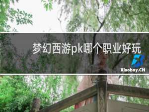 梦幻西游pk哪个职业好玩
