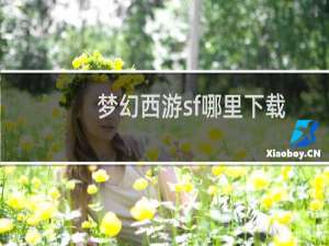 梦幻西游sf哪里下载