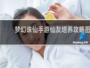 梦幻诛仙手游仙友培养攻略图