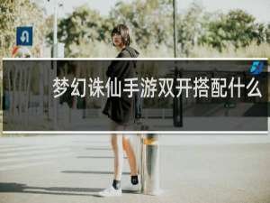 梦幻诛仙手游双开搭配什么