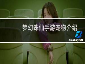 梦幻诛仙手游宠物介绍