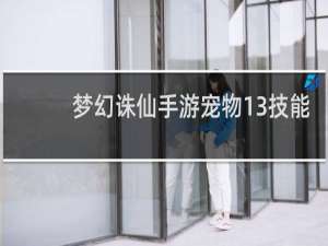 梦幻诛仙手游宠物13技能