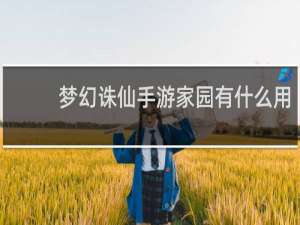 梦幻诛仙手游家园有什么用