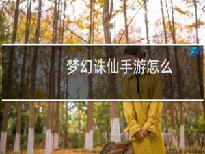 梦幻诛仙手游怎么
