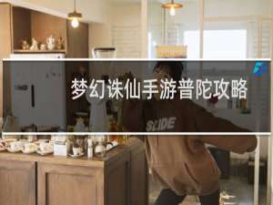 梦幻诛仙手游普陀攻略