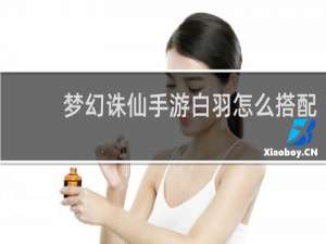 梦幻诛仙手游白羽怎么搭配