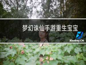 梦幻诛仙手游重生宝宝