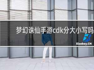 梦幻诛仙手游cdk分大小写吗