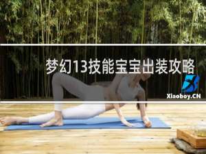梦幻13技能宝宝出装攻略
