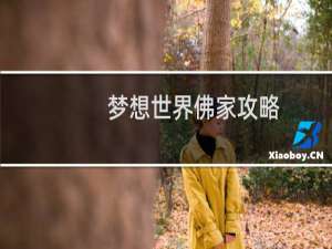 梦想世界佛家攻略