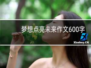 梦想点亮未来作文600字