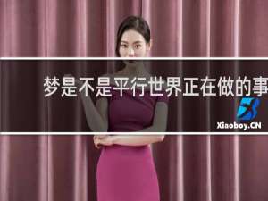 梦是不是平行世界正在做的事