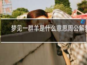 梦见一群羊是什么意思周公解梦