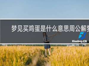 梦见买鸡蛋是什么意思周公解梦