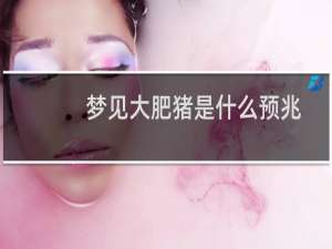 梦见大肥猪是什么预兆运气好不（梦见大肥猪）