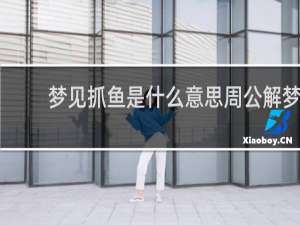 梦见抓鱼是什么意思周公解梦