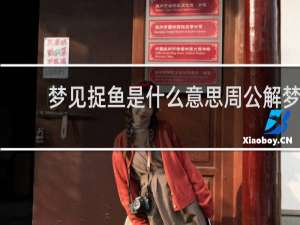 梦见捉鱼是什么意思周公解梦
