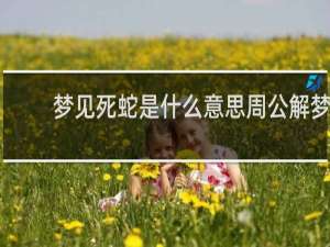 梦见死蛇是什么意思周公解梦