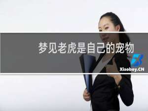 梦见老虎是自己的宠物