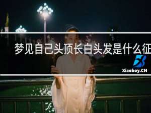 梦见自己头顶长白头发是什么征兆