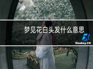 梦见花白头发什么意思