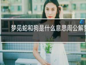 梦见蛇和狗是什么意思周公解梦