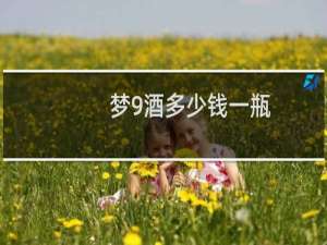 梦9酒多少钱一瓶