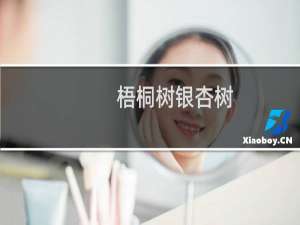 梧桐树银杏树
