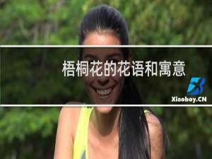 梧桐花的花语和寓意（梧桐花的花语和寓意是什么）