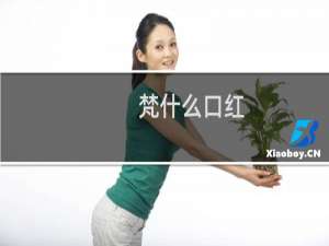 梵什么口红