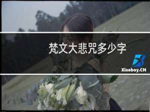 梵文大悲咒多少字