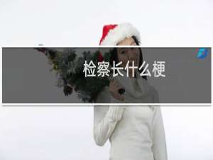 检察长什么梗