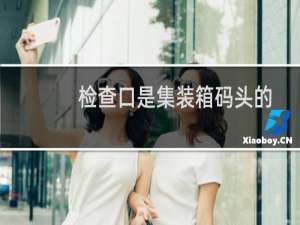 检查口是集装箱码头的