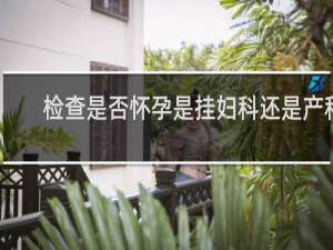 检查是否怀孕是挂妇科还是产科