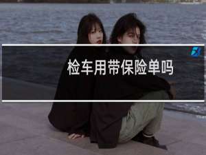检车用带保险单吗