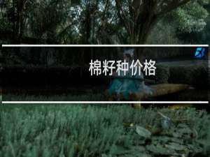 棉籽种价格