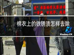 棉衣上的铁锈渍怎样去除