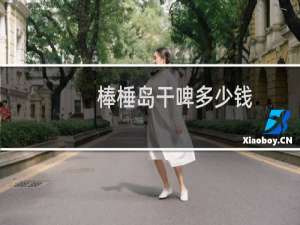 棒棰岛干啤多少钱