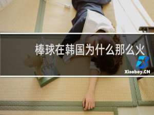 棒球在韩国为什么那么火