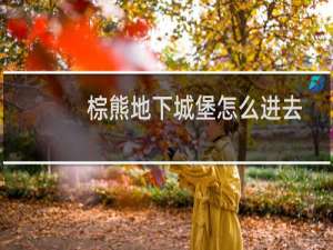 棕熊地下城堡怎么进去