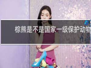 棕熊是不是国家一级保护动物