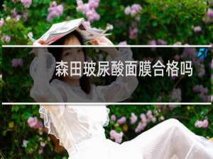 森田玻尿酸面膜合格吗