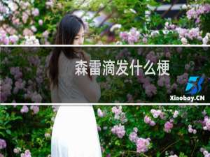 森雷滴发什么梗