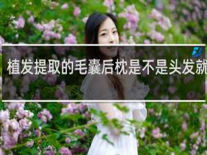 植发提取的毛囊后枕是不是头发就少了