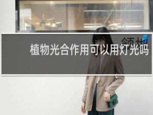 植物光合作用可以用灯光吗