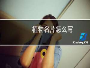 植物名片怎么写