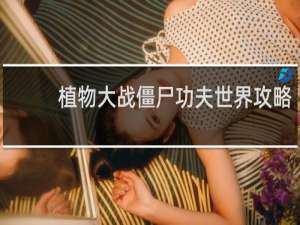 植物大战僵尸功夫世界攻略
